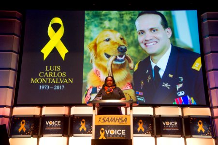 2017 SAMHSA VOICE AWARDS (37923552581)