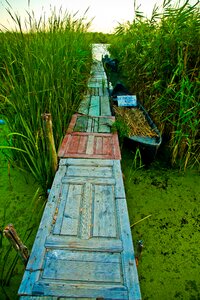 Adventure wooden path