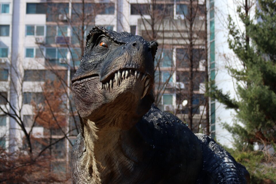 Dinosaurs tyrannosaurs sculpture