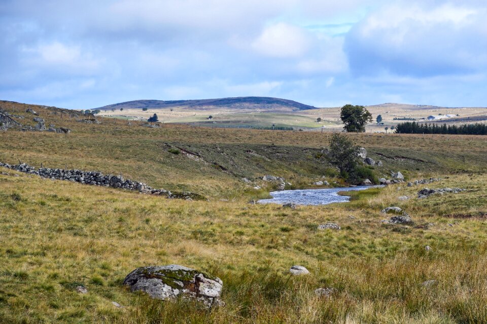 Aubrac field nature