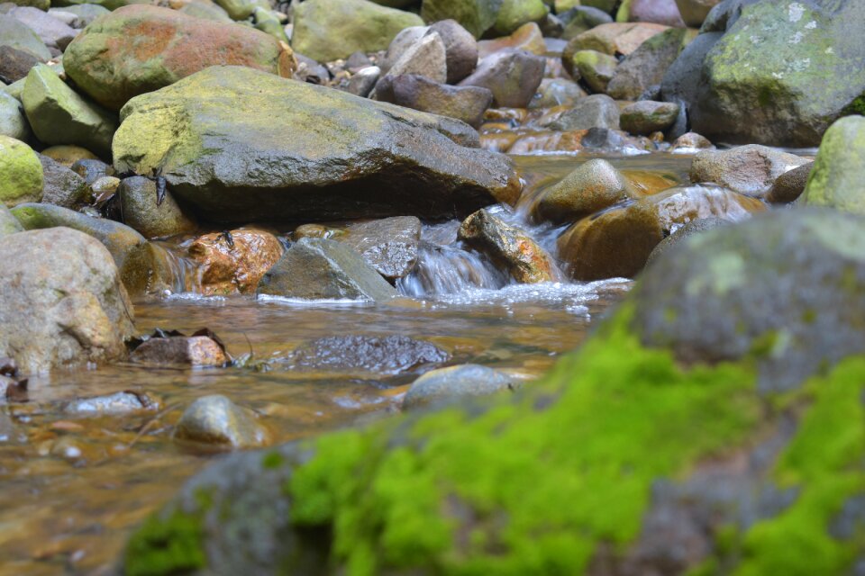 Water nature river