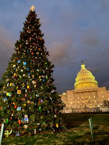 2019 Capitol Christmas tree lighting 02 photo