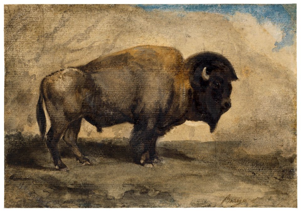2019 NYR 16336 0080 antoine-louis barye a bison)