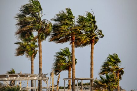 Wind storm weather photo