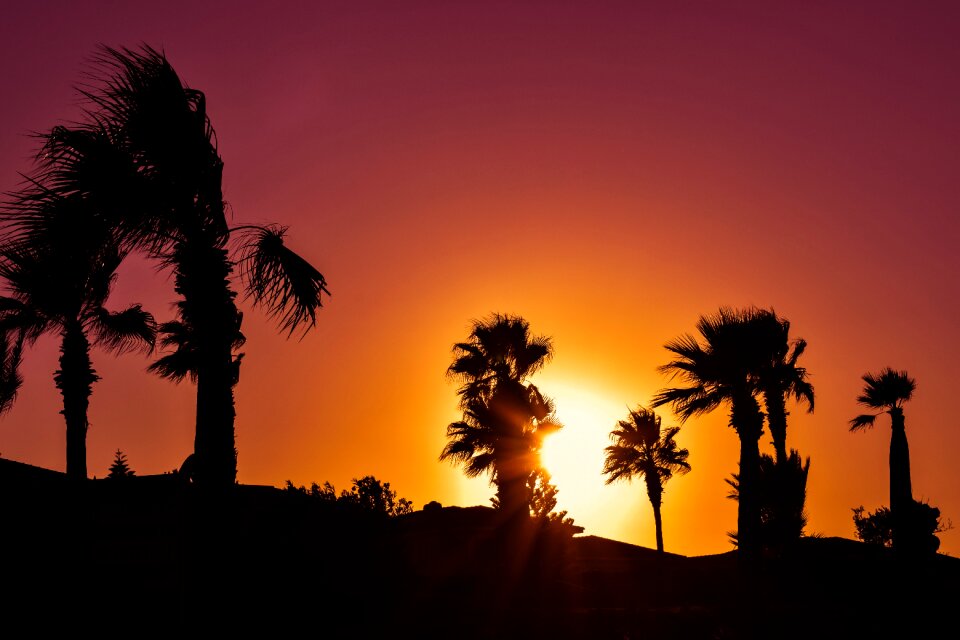 Shadows silhouettes evening