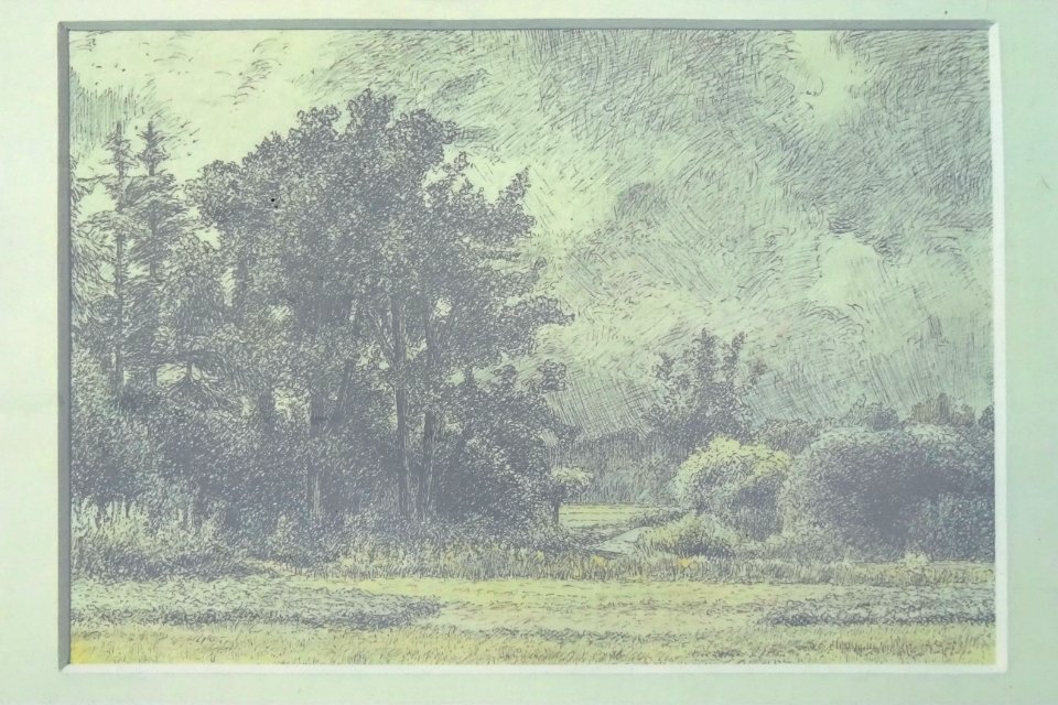 20201118 zicht vanuit Mensingebos-naar-dal Lieversche diep Coenraad Wolter Jan Kymmell