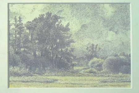 20201118 zicht vanuit Mensingebos-naar-dal Lieversche diep Coenraad Wolter Jan Kymmell