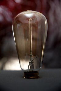 Bulb entrepreneurship home photo