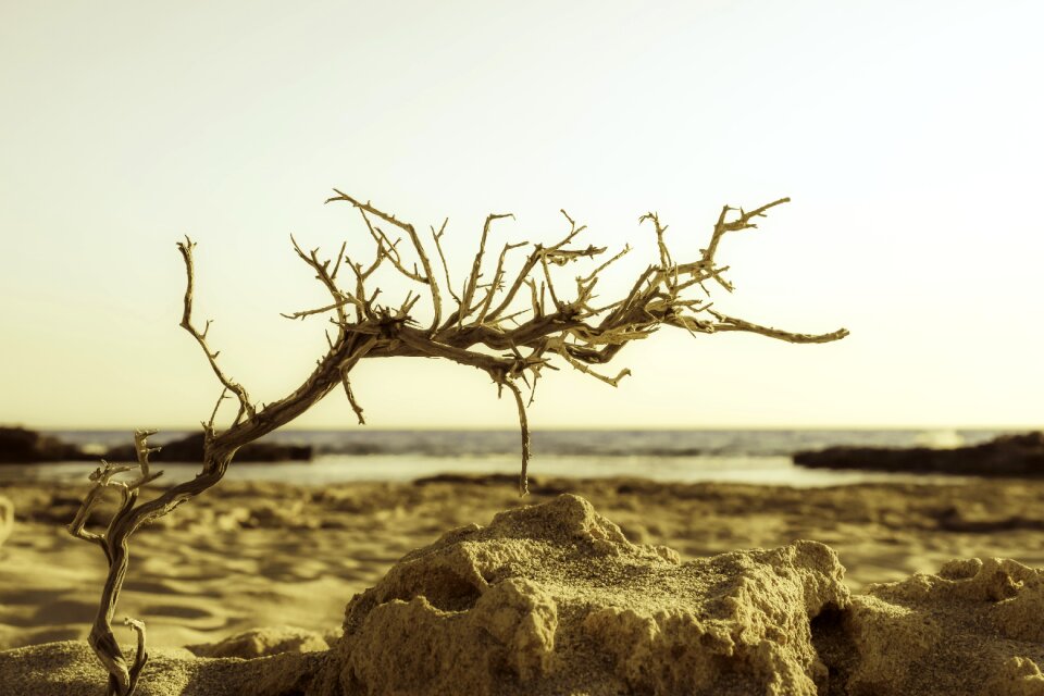 Sea nature autumn