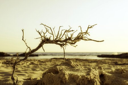 Sea nature autumn