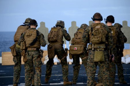 22nd Marine Expeditionary Unit live-fire exercise 140219-N-BD629-038