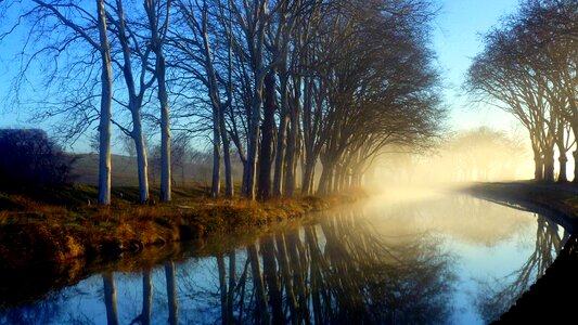 Tree dawn body of water