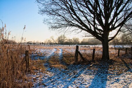 Laatzen leinemasch winter