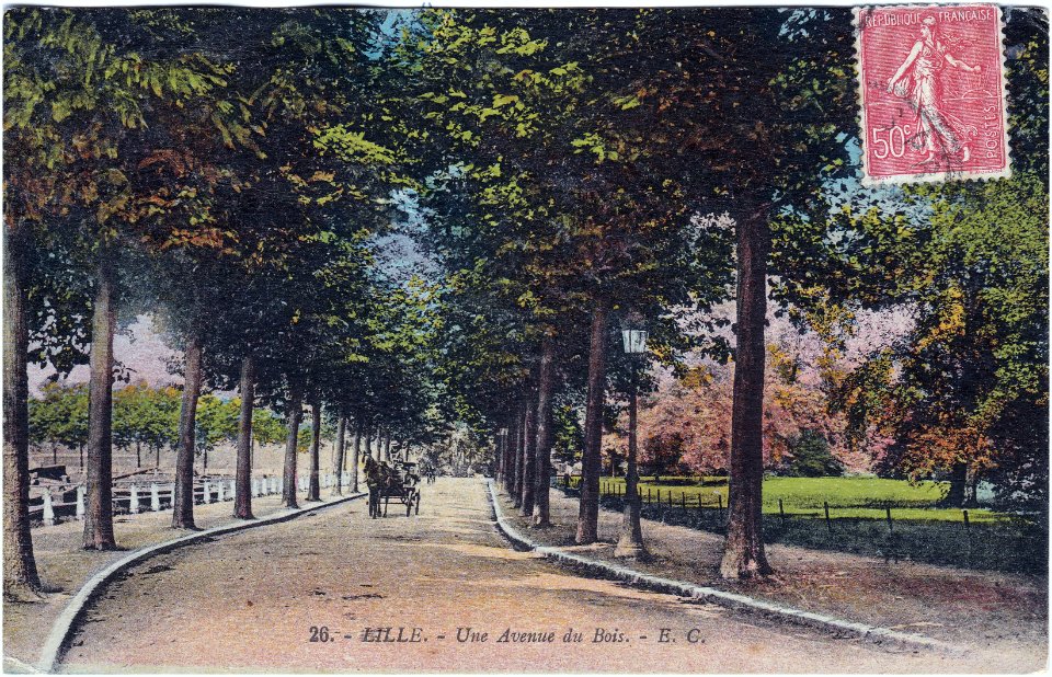 26 - Lille — Une avenue du Bois – (E.C)