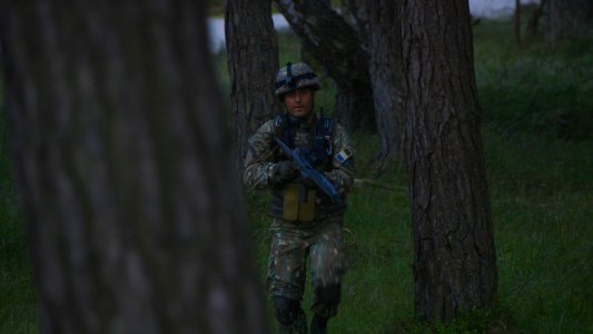 26th MEU Marines, U.S. Air Force military personnel, Polish military personnel, and members of the Romanian 307th Naval Infantry Battalion participate in a Joint Personnel Recovery exercise (42752021581) photo