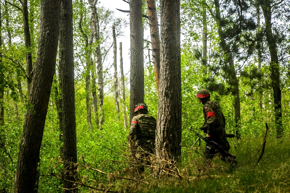 26th MEU Tank platoon, Polish BMP unit go head-to-head in mechanized assault exercise during BALTOPS (42075595414)