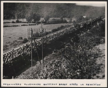 2Fi04011 prisonniers de guerre allemands