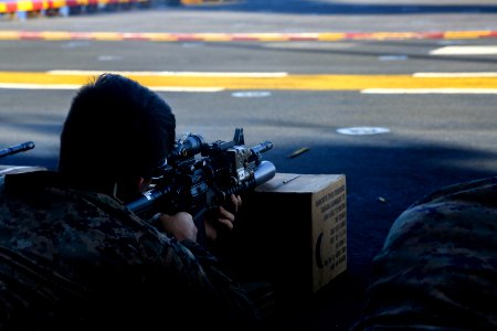 2nd LAR Conducts Live Fire Range. (28435548056)
