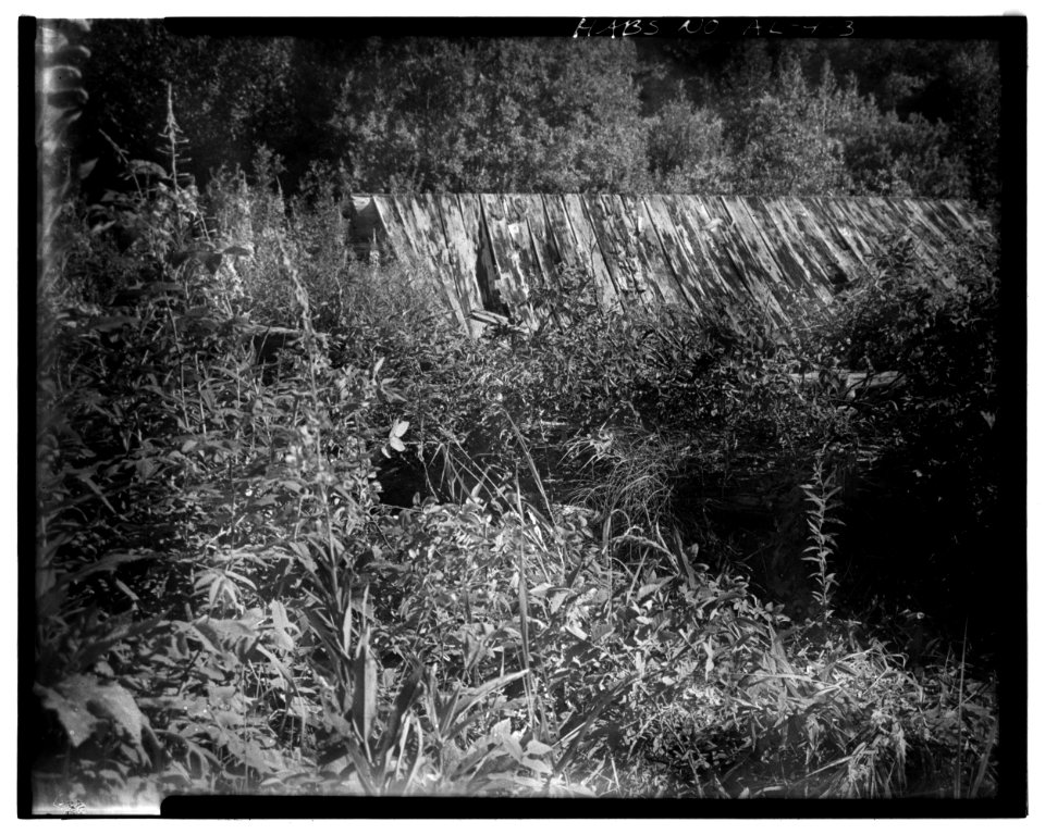 3. GARAGE (BUILDING A) SOUTH WALL AND ROOF WITH LOG PILE IN FOREGROUND - Dalton Trail Post, Mile 40, Haines Highway, Ha - LOC - hhh.ak0001.photos.001392p