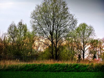 Nature landscape field photo