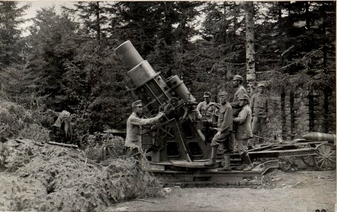 30.5 cm Mörser in Stellung im Ternovanerwalde.27.8.17 (BildID 15599443)