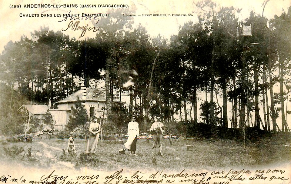 33 Andernos les bains 1903 Chalet et Palombière