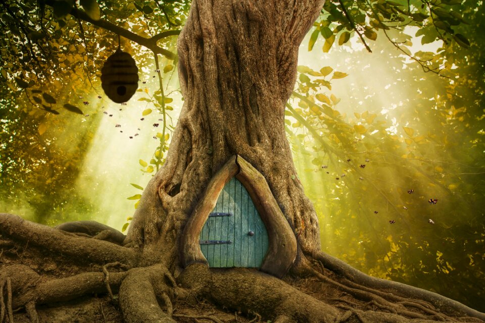 Newborn backdrop forest