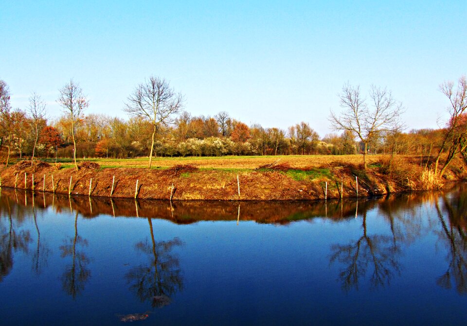Spring nature landscape