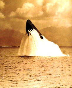 330-PS-2610 (USN 440604) (17286890243)