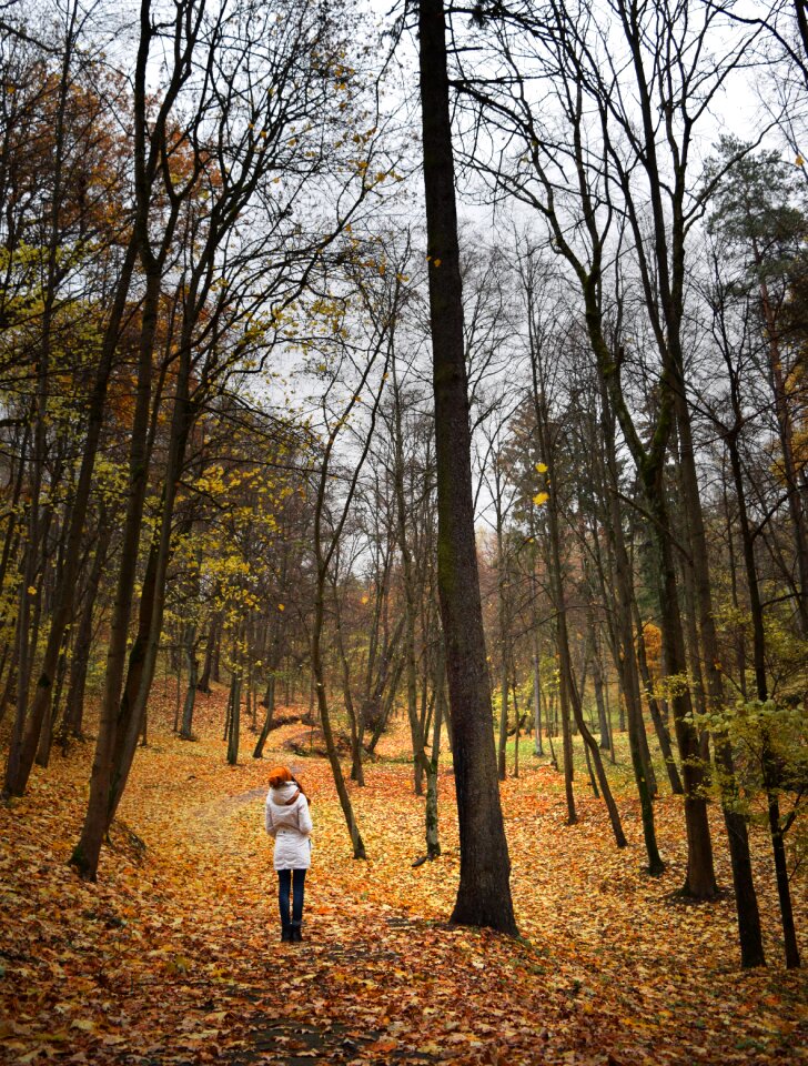 Forest walking strolling