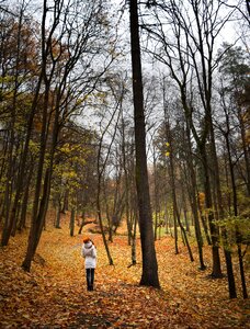 Forest walking strolling