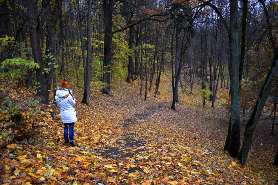 Forest walking strolling