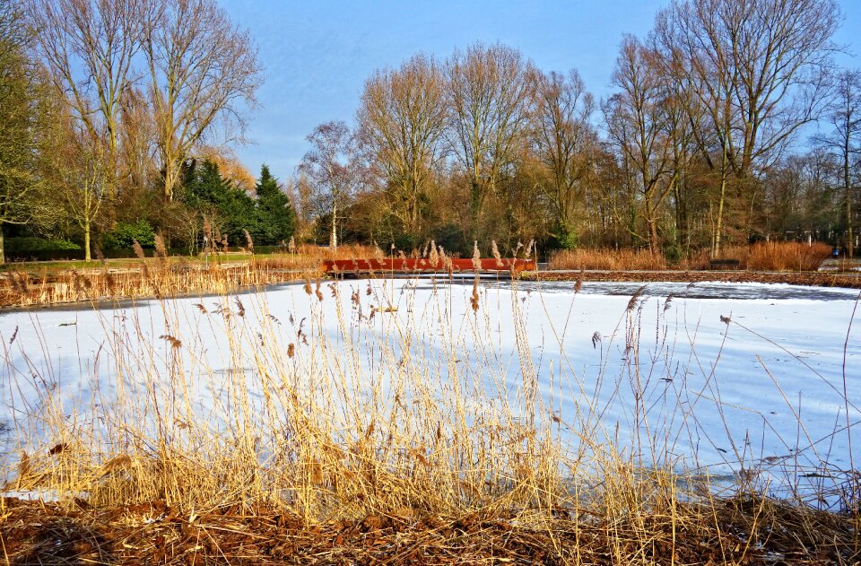 Frozen over frost winter