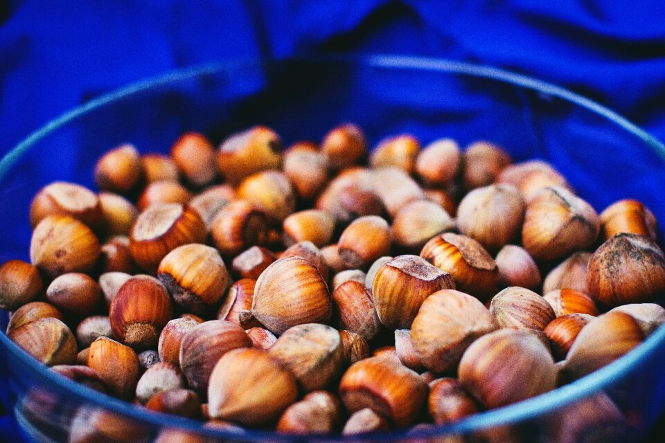 Bowl hazelnuts nuts