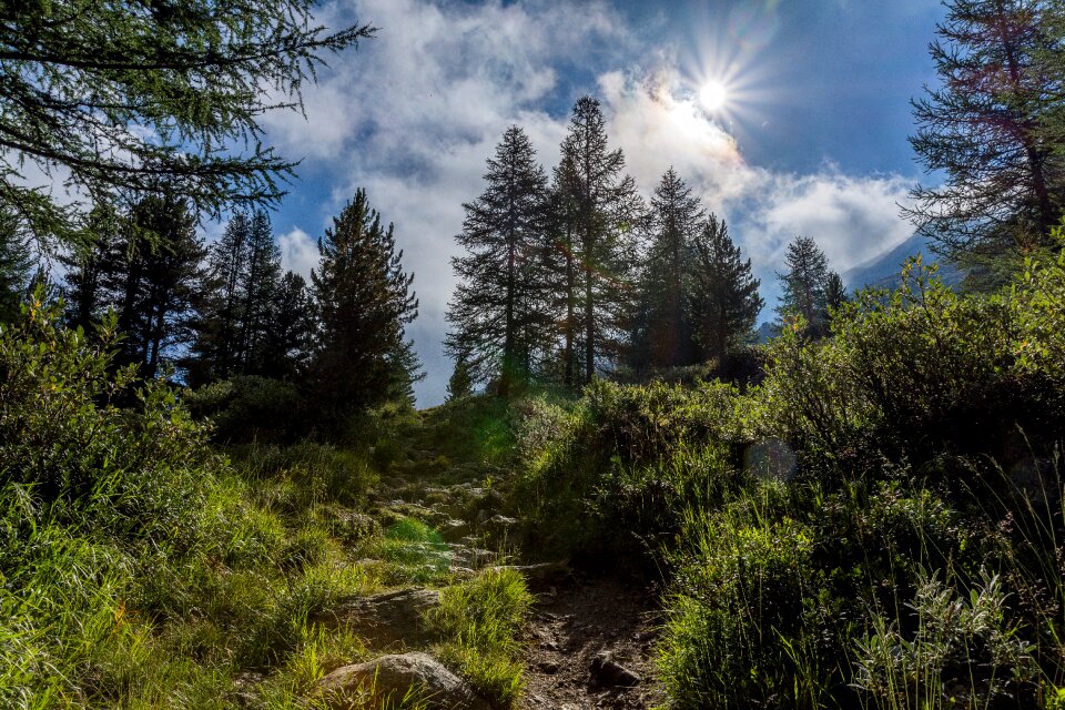 Landscape nature lake