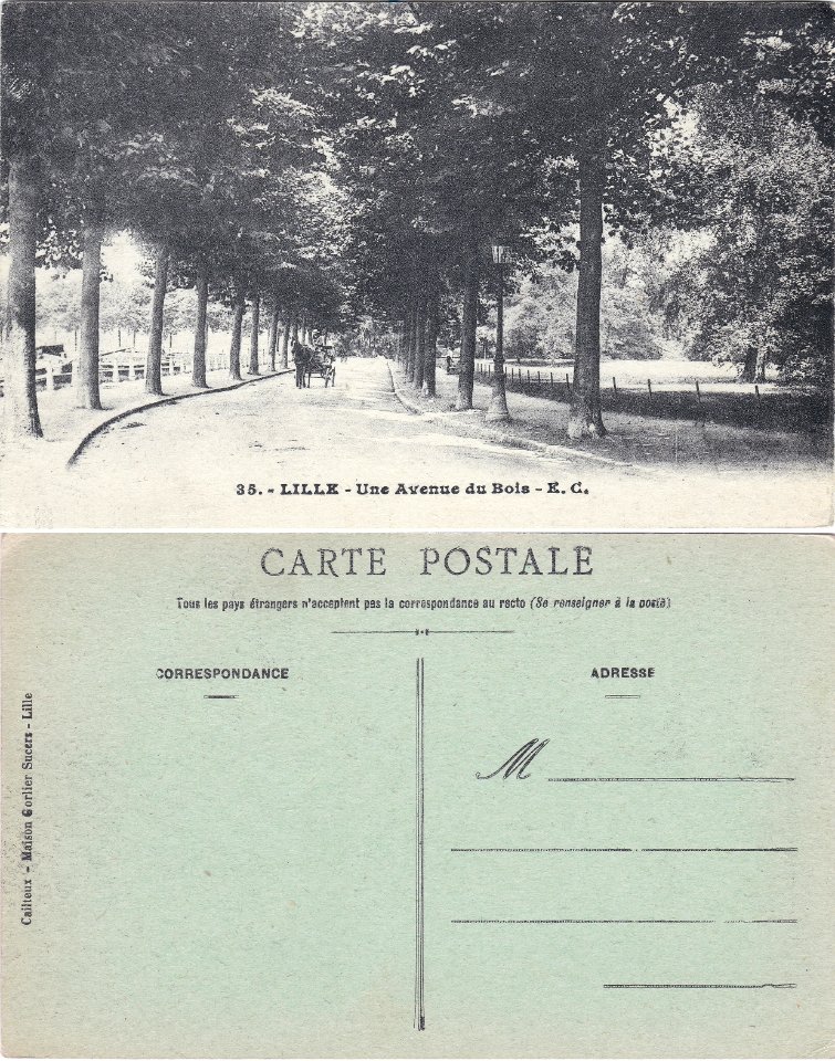 35. - Lille — Une Avenue du Bois – E.C. v°-r°