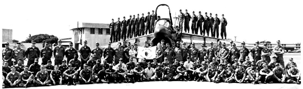 356th Tactical Fighter Squadron - Barbers Point NAS Hawaii