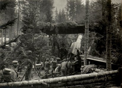 38 cm Mörser Barbara auf Cost alta. Aufgenommen im Mai 1916. (BildID 15535778)