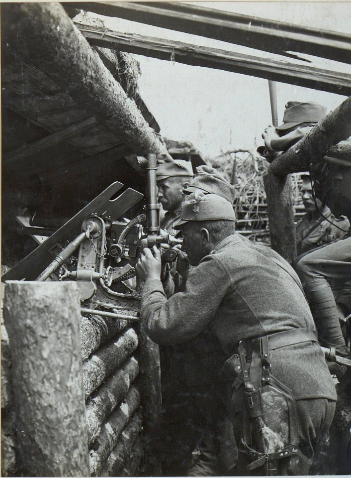 37 mm Infanteriegeschütz in der Stellung des Infanterieregimentes 4 im Wald bei Sestratyn (BildID 15443603)