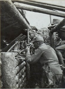 37 mm Infanteriegeschütz in der Stellung des Infanterieregimentes 4 im Wald bei Sestratyn (BildID 15443603)