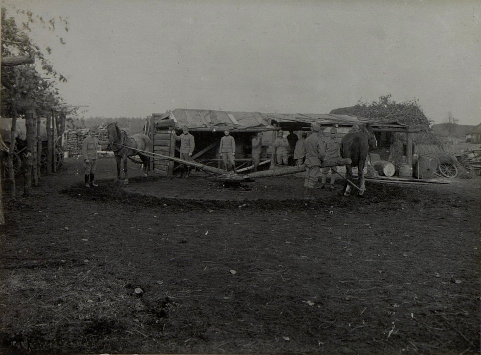37. Divisionssanitätsanstalt beim Dreschen in Palzca, aufgenommen am 10. Dezember 1915 (BildID 15455821)