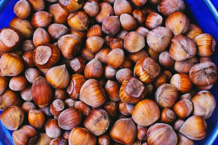 Brown hazelnuts nuts