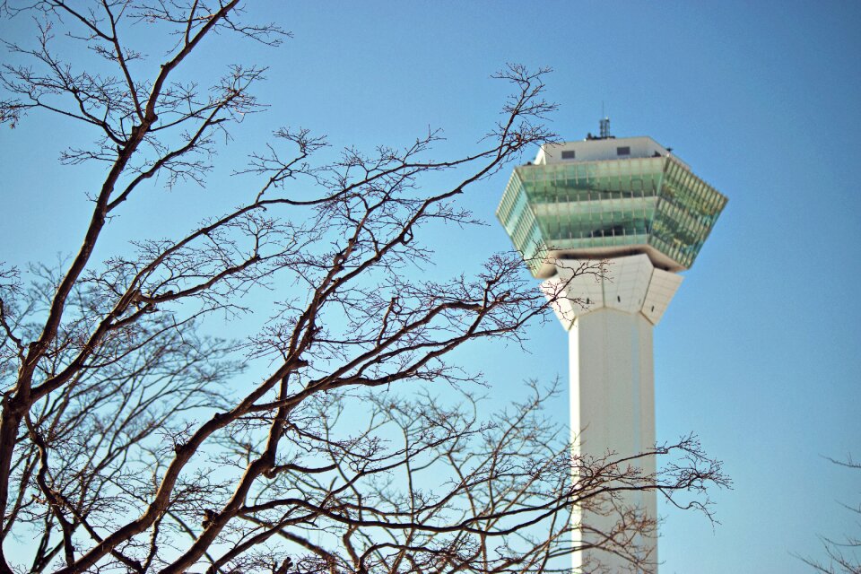 Winter high blue sky
