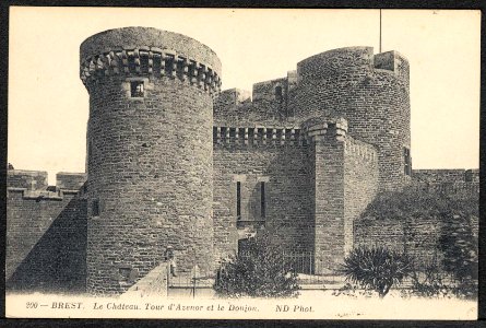 3Fi089-065 Le château. Tour d'Azénor et le donjon