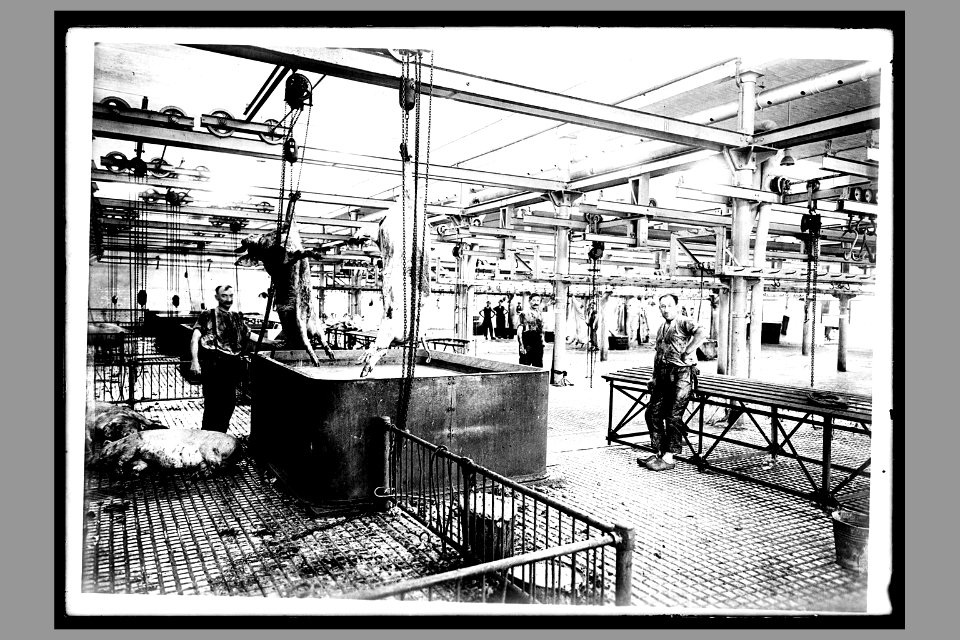 3PH 452 - Abattoirs et marché au bestiaux de la Mouche - Tony Garnier - échaudoirs