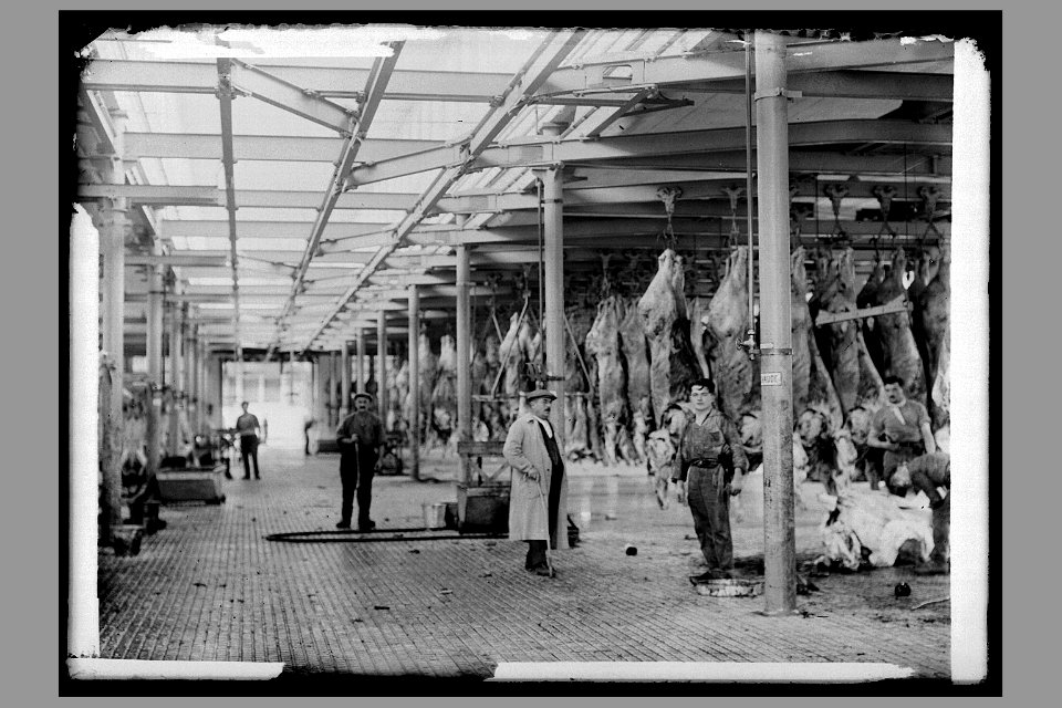 3PH 450 - Abattoirs et marché au bestiaux de la Mouche - Tony Garnier - Salle d'abattage