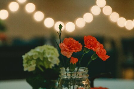 Flower petal vase