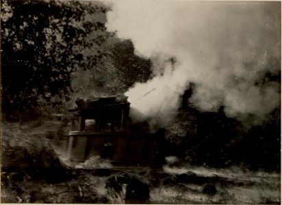 42 cm Haubitzen Stellung im Canaltal bei GUGG. Abfeuern. (BildID 15479249)