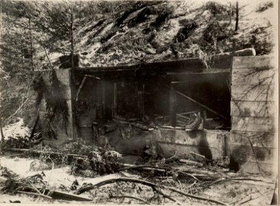 42 cm Haubitzen Stellung im Canaltal bei GUGG. Volltreffer im Munitions Depot. (BildID 15479312)