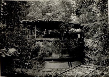42 cm L15K Hb. am monte Rover. Aufgenommen im Mai 1916. (BildID 15534000)